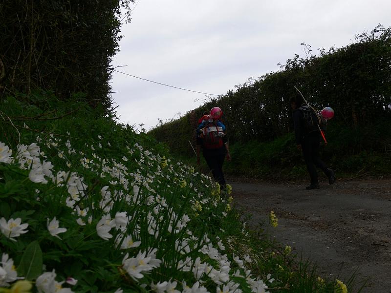Mont Saint Michel 2010 - 106.jpg